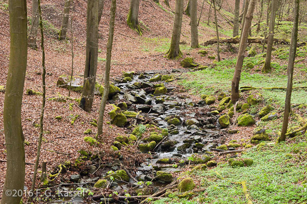 Blick in den Ahnegraben – 1