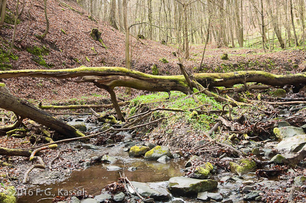 Blick in den Ahnegraben – 2