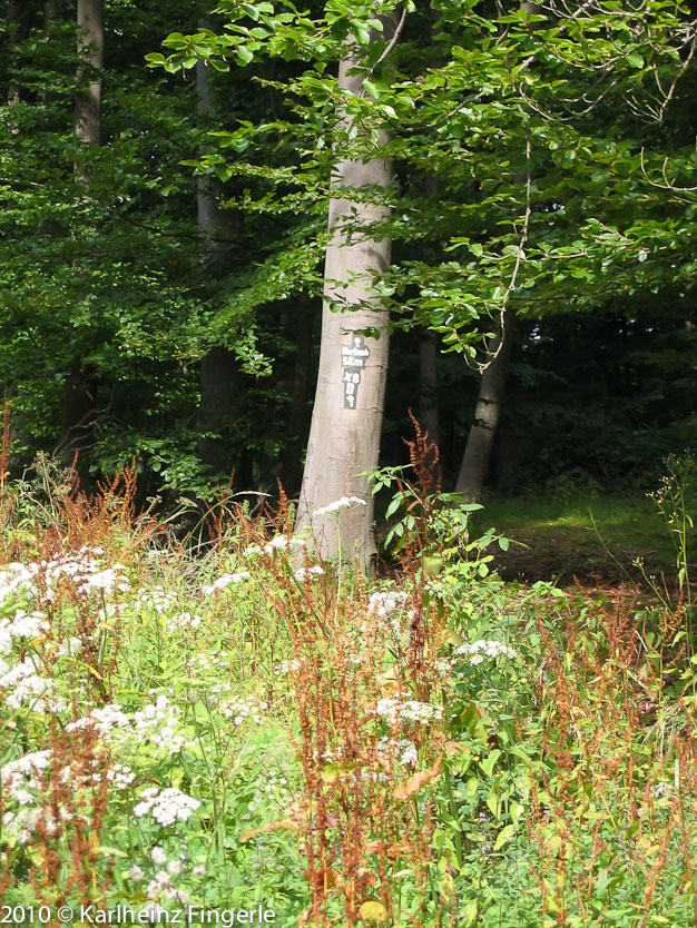 Wegzeichen an der Schutzhütte Danzeplätze