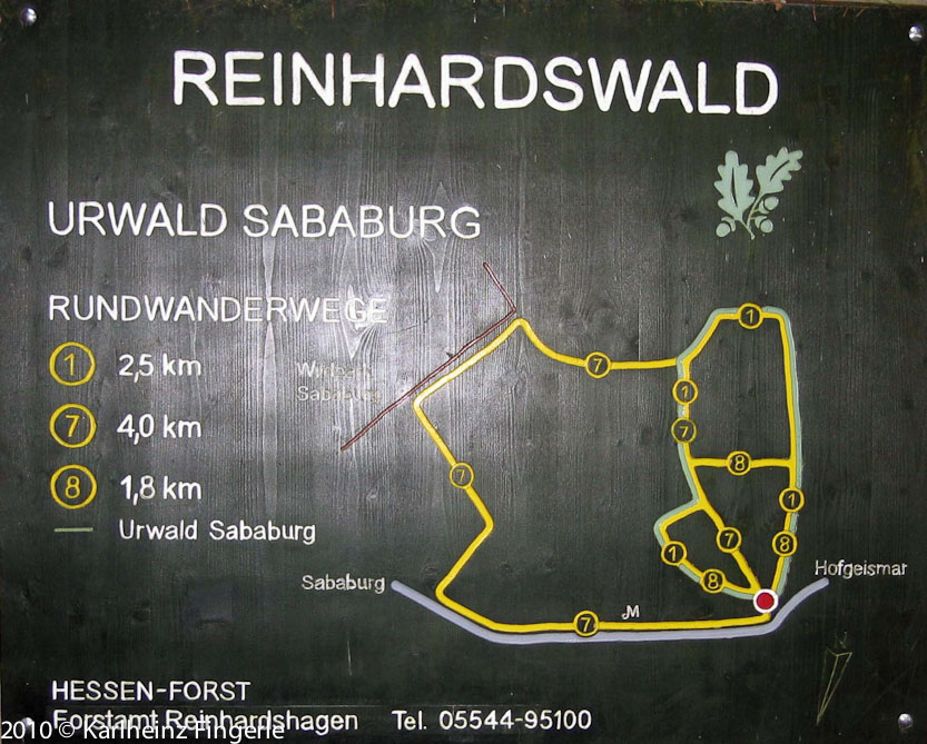 Infotafel Rundwege Urwald Sababurg