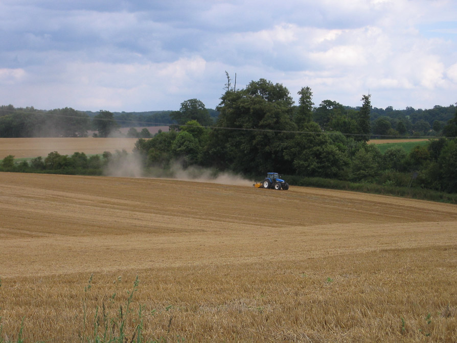 Feldarbeit am Sonntag