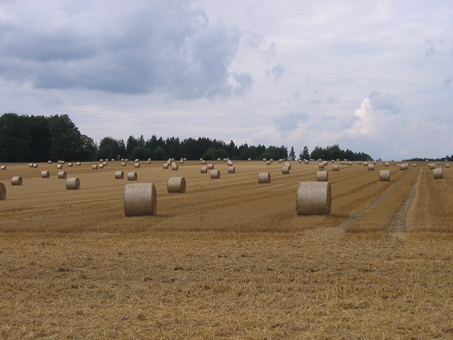 Strohballen bis an den Horizont