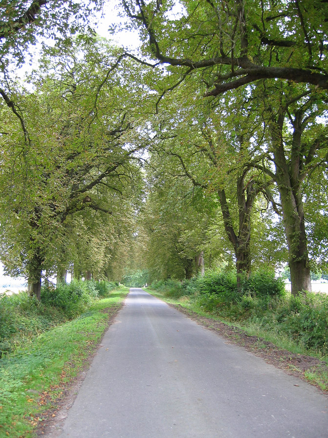 Huteallee