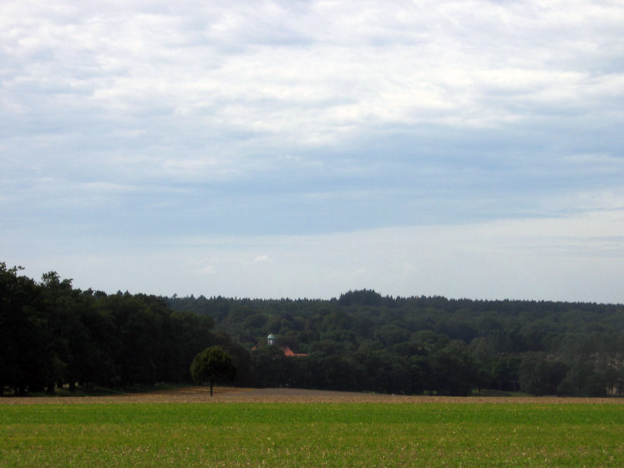 Blick in Richtung Domänengebäude