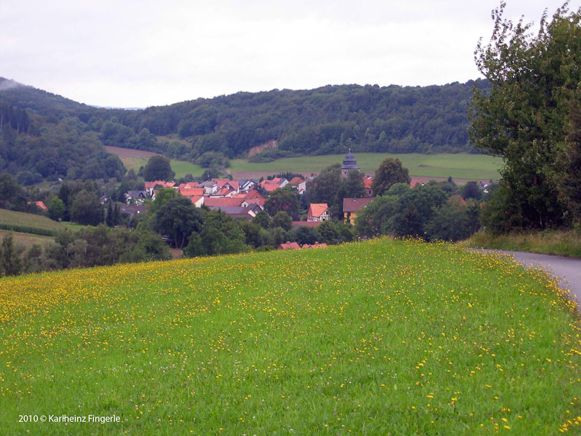 Blick auf Reichenbach